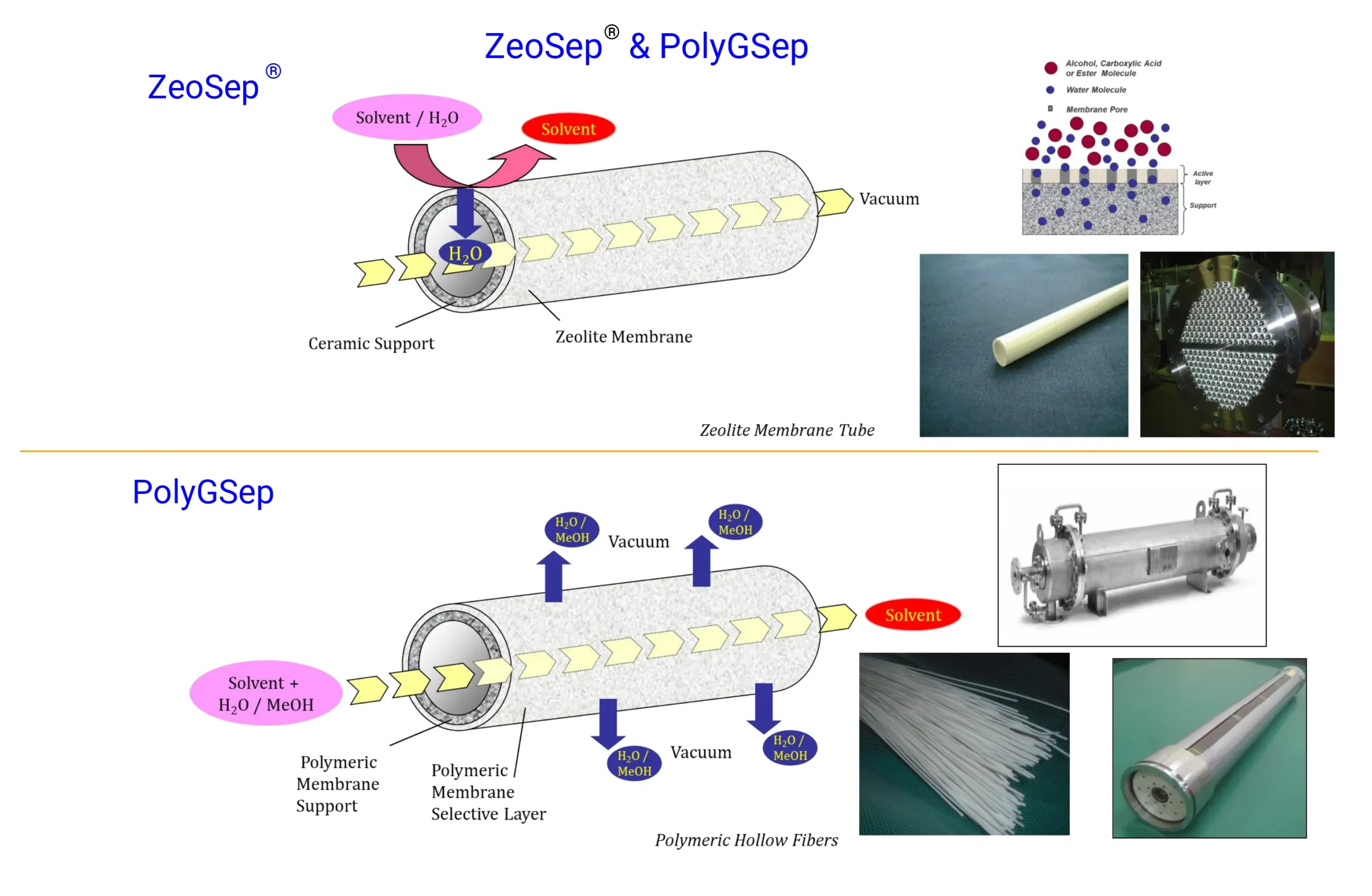 Membrane Reactors For Water Removal