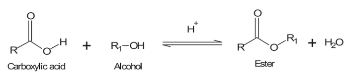 condensation reactions esterification