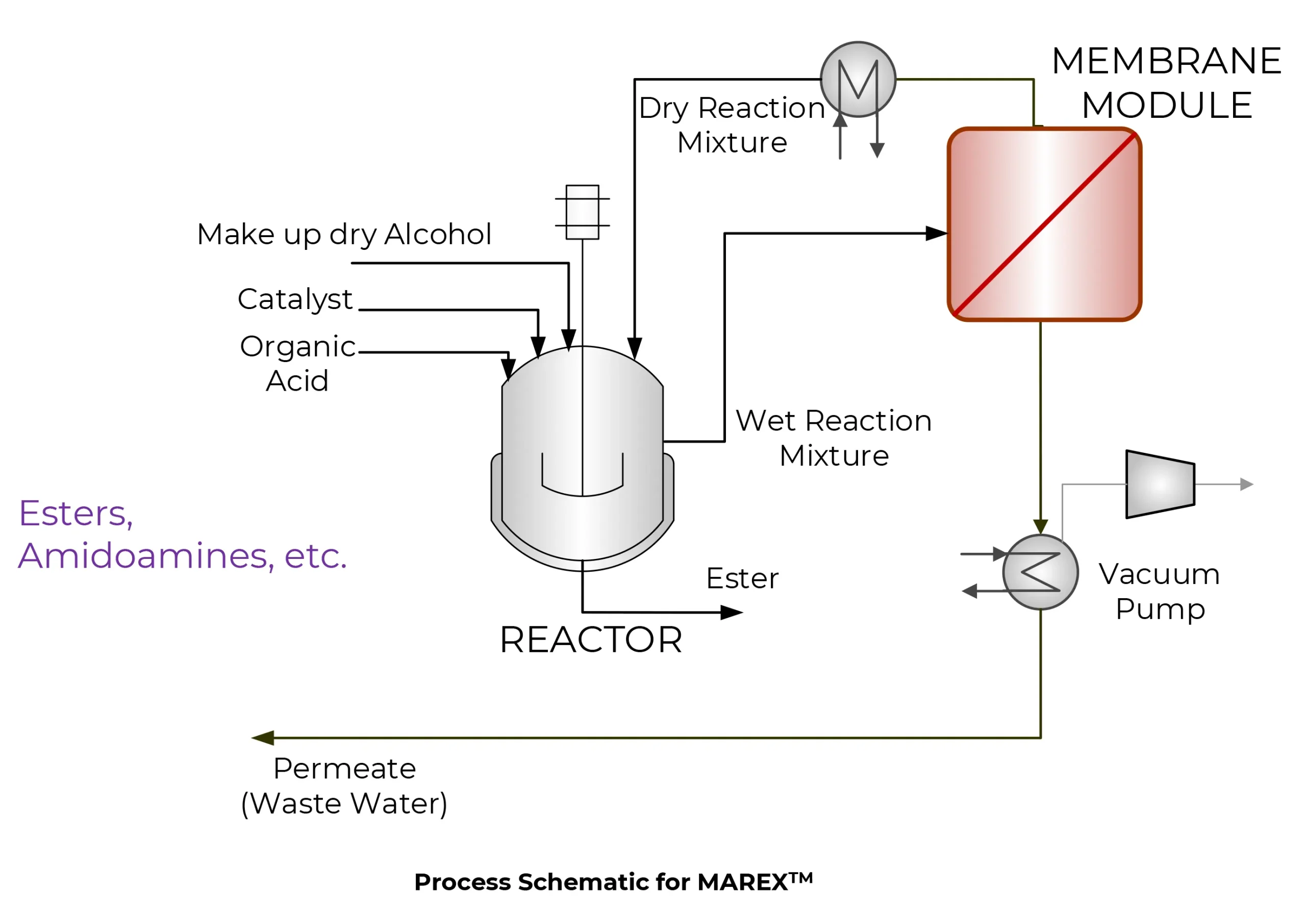 process schematic for MAREX